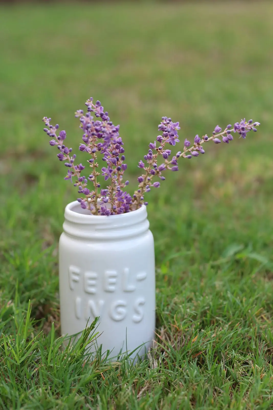 Naturopatia emozionale e benessere emotivo femminile trasformato con il Metodo D.N.A.