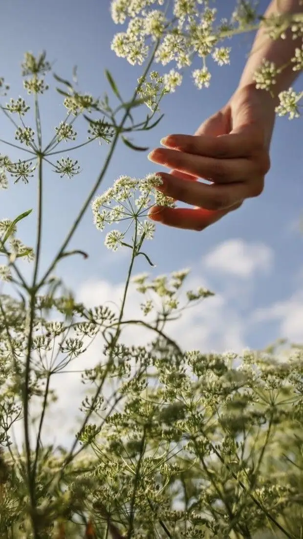 blocchi emotivi salute — trasformazione con la naturopatia emozionale